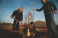 Image showing Centrica employees planting a tree
